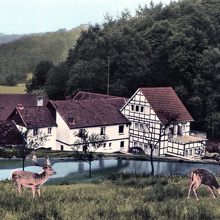 Kneipen